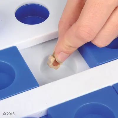 Käsi asettaa pienen, tähdenmuotoisen herkun valkoisen ja sinisen muovisen aktivointilelun koloon.