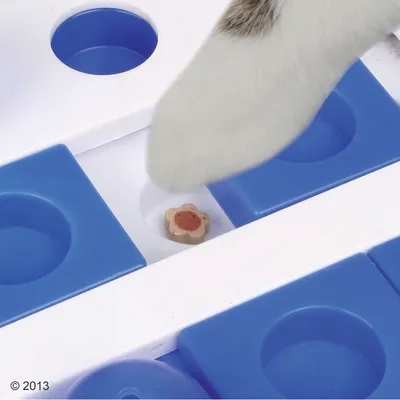 Labă de pisică pe o jucărie interactivă alb-albastră cu compartimente, unul dintre ele conținând o recompensă în formă de floare.
