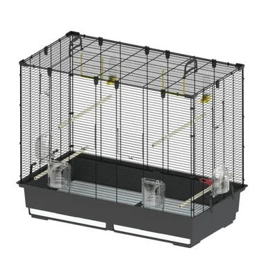 Wire cage with plastic base, four clear feeders, three wooden perches and two swing perches inside. Suitable for housing small animals or birds.