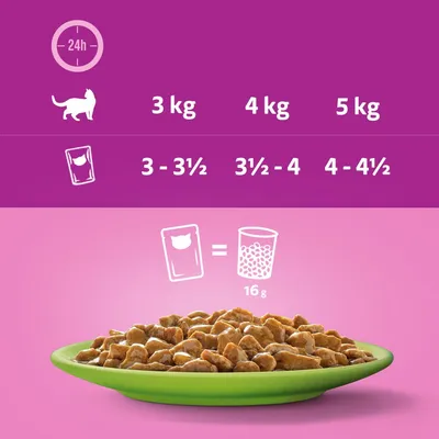 Etetési útmutató macskáknak: 3 kg 3–3½ tasak, 4 kg 3½–4 tasak, 5 kg 4–4½ tasak. 1 tasak = 16 g száraztáp. Zöld tányéron nedves eledel látható.