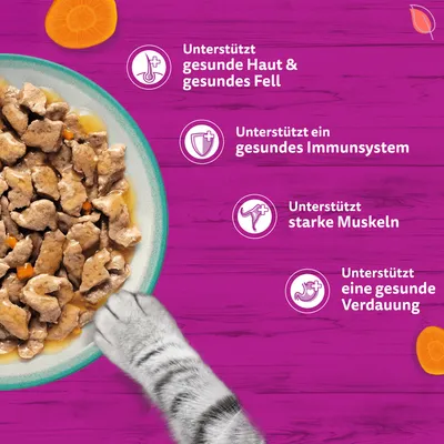 Multipack Whiskas Tasty Mix 144 x 85 g pour chat