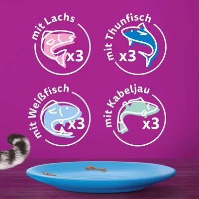 Produkt enthält je 3 Portionen mit Lachs, Thunfisch, Weissfisch und Kabeljau. Illustration der Fischarten auf violettem Hintergrund.