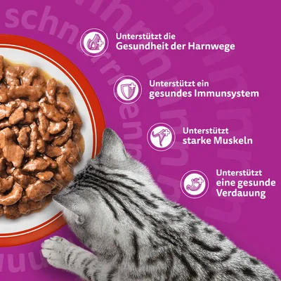 Megapack Whiskas Senior Frischebeutel 48 x 85 g