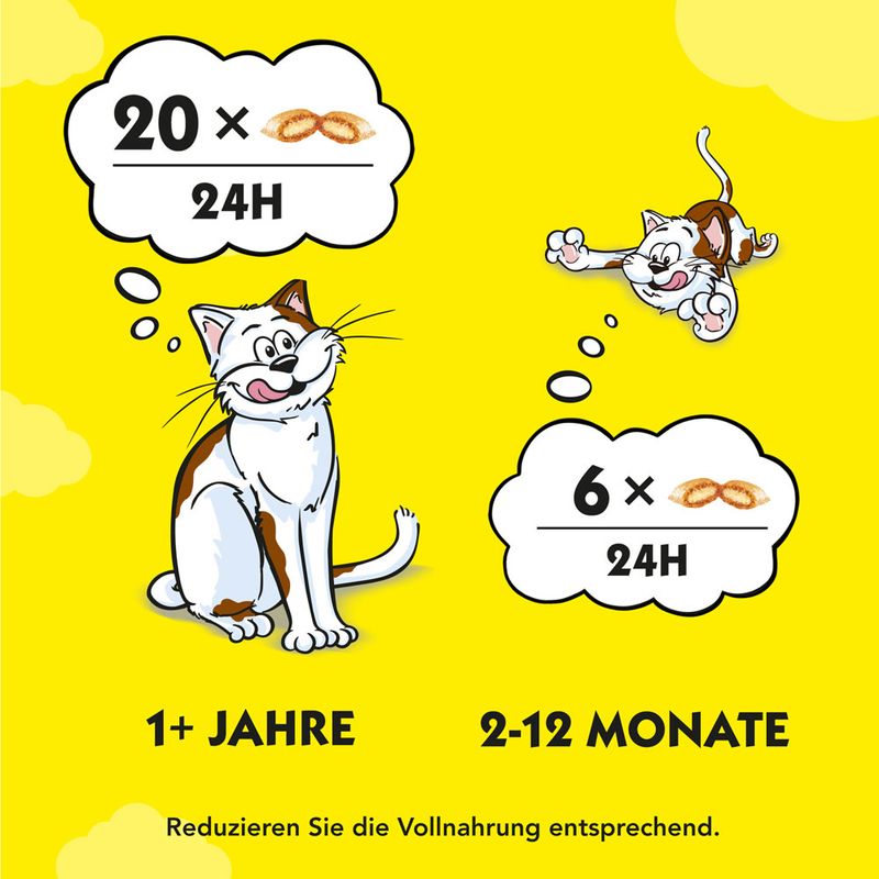 Dreamies Katzensnack Klassik