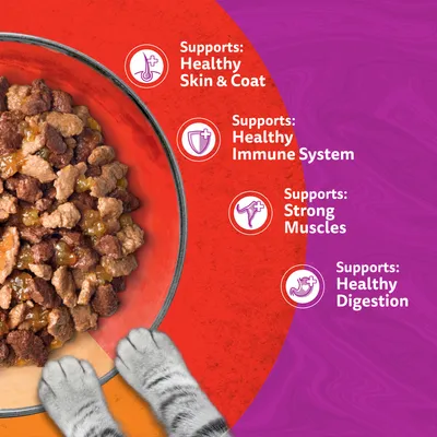 Whiskas 1+ Duo Meaty Combos in Jelly Whiskas 1+ Duo Meaty Combos in Jelly