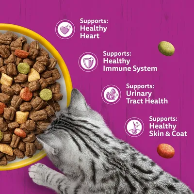 Text in image: Supports: Healthy Heart, Healthy Immune System, Urinary Tract Health, Healthy Skin & Coat. Feeding bowl with dry food and visible cat.