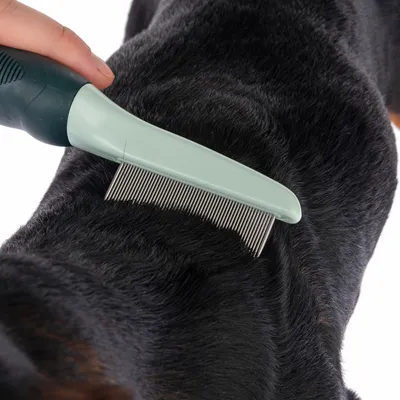 Pieptene metalic cu mâner din plastic verde, folosit pentru a peria blana unui câine cu păr scurt. Sunt vizibile dinții pieptenelui și detalii ale blănii.