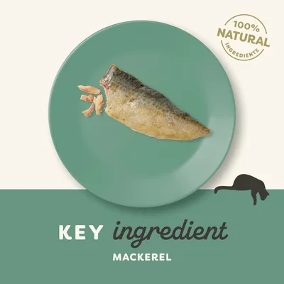 Key ingredient mackerel shown on a plate with 100% natural ingredients highlighted.