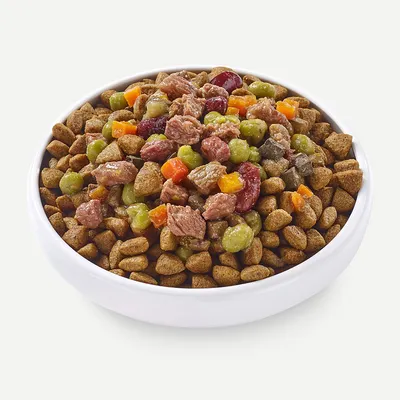 Bowl with dry food and fresh ingredients such as pieces of meat, peas, carrots and beans.