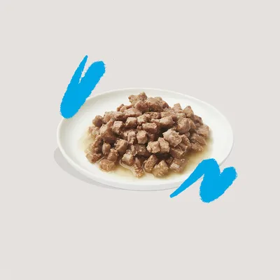 Wit bord met stukjes natvoer in saus, geschikt als huisdiervoeding. Geen merknaam of verpakking zichtbaar.