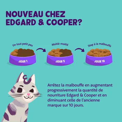 Nouveau chez Edgard & Cooper ? Conseils de transition alimentaire sur 10 jours : jour 1 un tout petit peu, jour 5 moitié-moitié, jour 10 stop à la malbouffe. Texte explicatif inclus.
