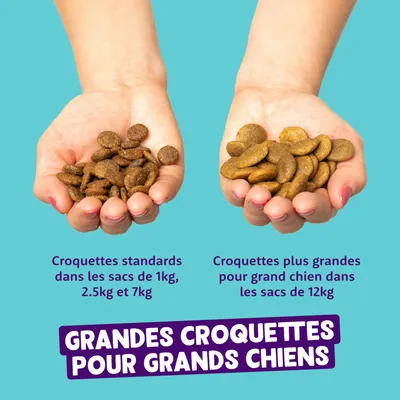 Comparaison de croquettes standard en sacs de 1kg, 2,5kg et 7kg avec des croquettes plus grandes pour grands chiens en sacs de 12kg. Texte : « Grandes croquettes pour grands chiens ».