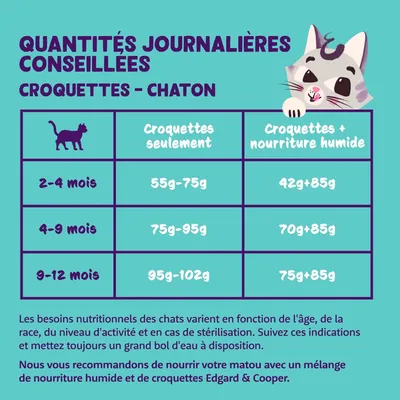 Tableau des quantités journalières conseillées pour chaton : 2–4 mois 55g–75g croquettes ou 42g+85g, 4–9 mois 75g–95g ou 70g+85g, 9–12 mois 95g–102g ou 75g+85g.