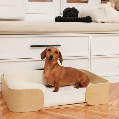 Modern Living Mora Pat