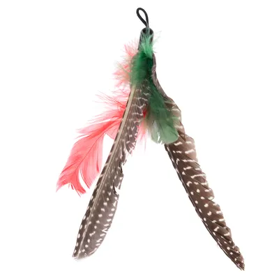 Accessoire composé de deux grandes plumes marron à points blancs, une plume rouge et une plume verte, fixées ensemble par une boucle noire en tissu.