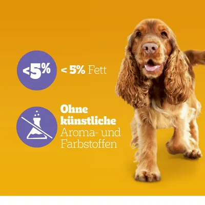 <5 % Fett, Ohne künstliche Aroma- und Farbstoffe (besedilo v nemščini), slika psa na oranžnem ozadju.