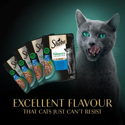 Sheba Nature's Collection Pouches 12 x 85g - Fish Selection with Tomato & Green Pepper in Gravy Sheba Nature's Collection Pouches 12 x 85g - Fish Selection with Tomato & Green Pepper in Gravy