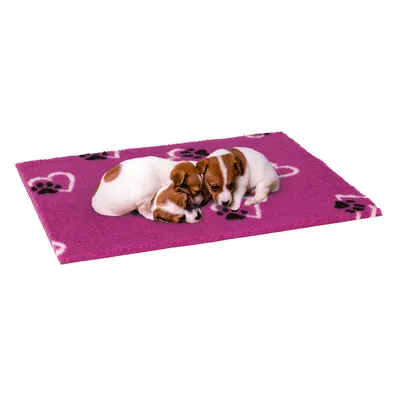 Pink dog blanket with paw pattern, two small dogs lying on it.