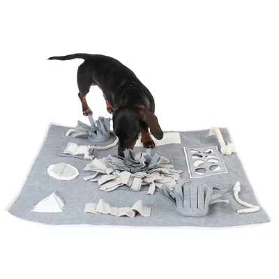 Chien noir sur tapis d’activités en tissu gris avec différentes zones de jeu, franges et cordes visibles. Plusieurs compartiments et textures sont présents sur le tapis.