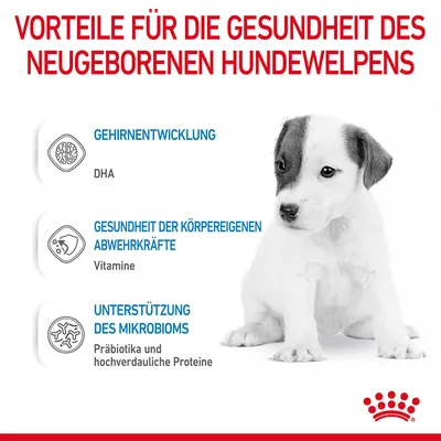 Vorteile für die Gesundheit des neugeborenen Hundewelpens: Gehirnentwicklung (DHA), Gesundheit der Abwehrkräfte (Vitamine), Unterstützung des Mikrobioms (Präbiotika und hochverdauliche Proteine).