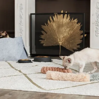 Modern Living Berna Pernă cu iarba-mâței