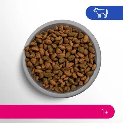 Schaal met bruine brokjes, pictogram van een koe en label '1+' zichtbaar. Geschikt voor aankoopbeslissing op basis van leeftijdscategorie en mogelijk rundvlees als ingrediënt.
