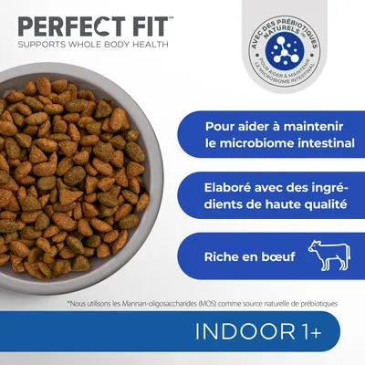 Perfect Fit Indoor 1+ croquettes, riche en bœuf, élaboré avec des ingrédients de haute qualité, pour aider à maintenir le microbiome intestinal, avec prébiotiques naturels.