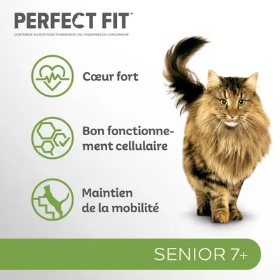 PERFECT FIT Senior 7+ pour chat, cœur fort, bon fonctionnement cellulaire, maintien de la mobilité. Contribue au bon fonctionnement de l’ensemble de l’organisme.