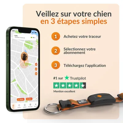 Weenect Tracker GPS XT pour animaux de compagnie pour chien