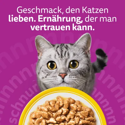 Jumbopack Whiskas 1+ Adult Frischebeutel 96 x 85 g Jumbopack Whiskas 1+ Adult Frischebeutel 96 x 85 g