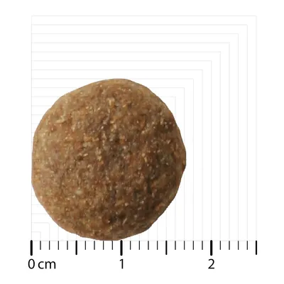 Round brown dry food piece with scale, diameter approx. 1.5 cm.