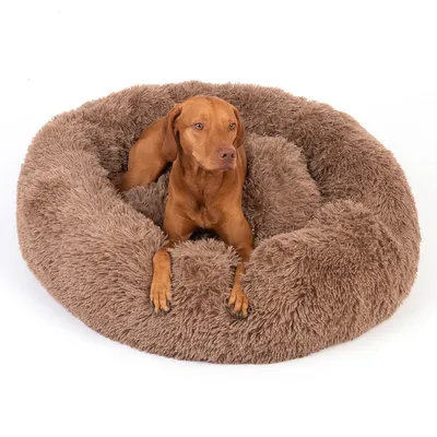 Rundes, braunes Hundebett aus flauschigem Material. Hund liegt im Bett und zeigt die Grösse und Komfort des Produkts.