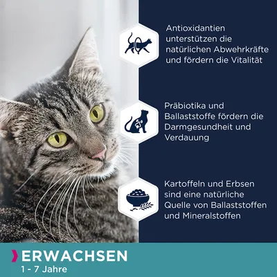 Antioxidantien fördern Vitalität, Präbiotika unterstützen Darmgesundheit, Kartoffeln und Erbsen liefern Ballaststoffe. Geeignet für erwachsene Katzen von 1-7 Jahren.