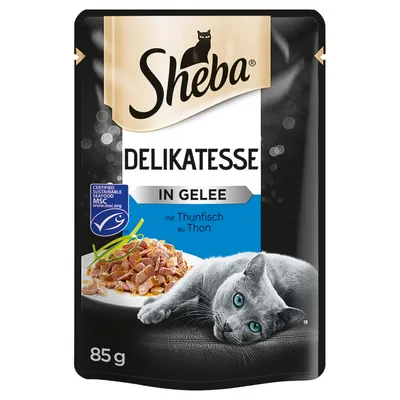 Sheba Delikatesse in Gelee mit Thunfisch au Thon, MSC certifié, sachet de 85 g avec image d’un chat gris et assiette de thon visible sur l’emballage.