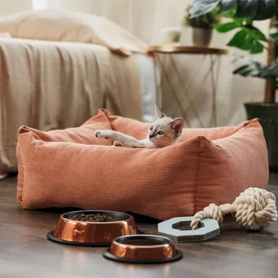 Oranžový pelech pre mačky, vedľa misky na krmivo z medi a hračky z lana a dreva. Mačka leží uvoľnene v pelechu.