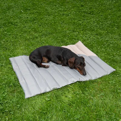 Hund liegt auf einer grauen, gepolsterten Matte im Garten. Matte mit gestepptem Design und beige Stoffkante sichtbar.