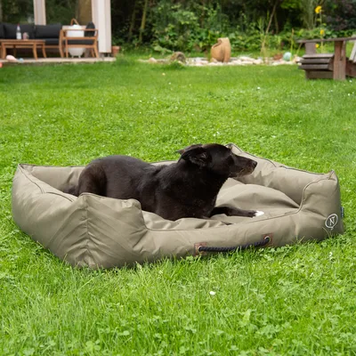 Hund liegt in einem olivgrünen Hundebett mit Griffen, im Garten. Logo 'N' sichtbar auf der Seite des Bettes.