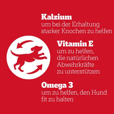 Kalcium az erős csontokért, E-vitamin az immunrendszer támogatásához, omega-3 a kutya fittségéért. Piros háttér, kutya és nyilak szimbólummal.