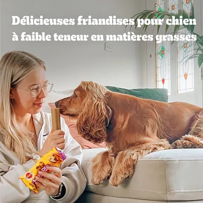 Texte : Délicieuses friandises pour chien à faible teneur en matières grasses. Femme tenant un paquet de friandises Pedigree devant un chien assis sur un canapé.