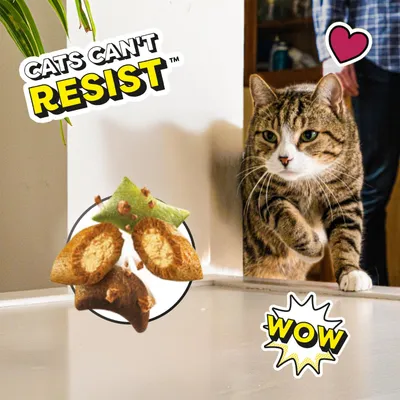Dreamies ShakeUps - Rockin' Roost - 55g Dreamies ShakeUps - Rockin' Roost - 55g