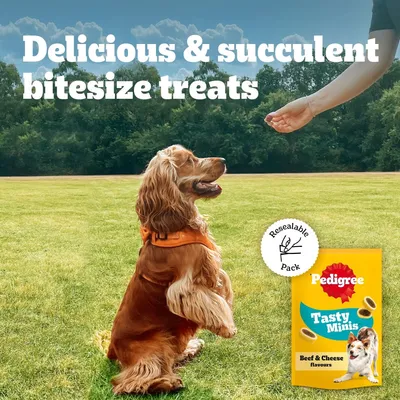 Pedigree Tasty Minis - Cheese & Beef (140g) Pedigree Tasty Minis - Cheese & Beef (140g)