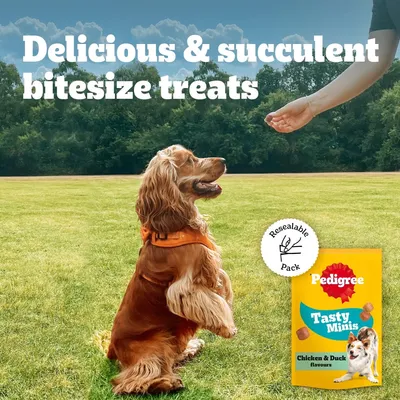 Pedigree Tasty Minis - Chicken & Duck (130g) Pedigree Tasty Minis - Chicken & Duck (130g)