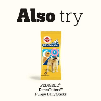 PEDIGREE Junior DentaTubos x3 with chicken. Puppy Daily Sticks. Product image with two puppies and note 'Also try'.