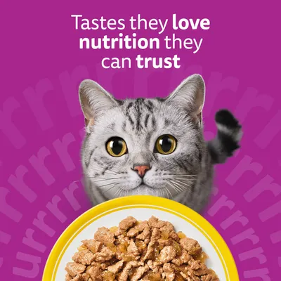 Whiskas 1+ Poultry Feasts in Jelly - 12 x 85g Whiskas 1+ Poultry Feasts in Jelly - 12 x 85g