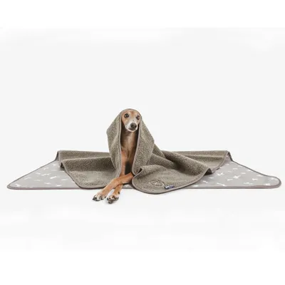 Chien allongé sur une couverture grise à motifs silhouettes de chiens, doublure en tissu polaire. Étiquette visible sur le coin de la couverture.