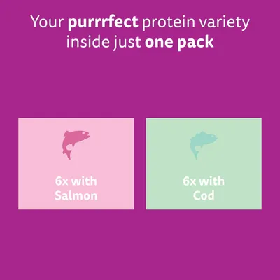 Whiskas 11+ Senior Pouches in Jelly