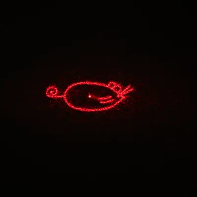 Red laser light in the shape of a bird, suitable for interactive cat toys.