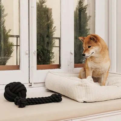 Modern Living Papua въжен кокал