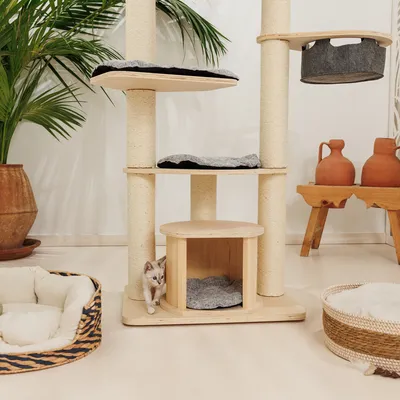 Cat tree made of wood with multiple levels, sisal posts and resting areas. A small kitten looks out from the lower cave.