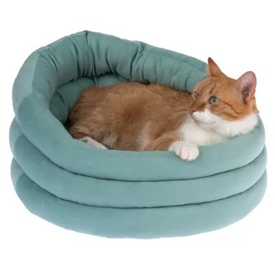 Rode en witte kat ligt in een turquoise, gevoerd huisdierenbed met rond design.